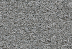 A-M007
